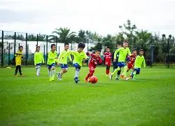 新蒲崂露营,配件特惠,登山杖,香港赛马场,香港马术赛事,赛马资讯,香港赛马文化