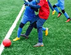 申花对国安,换人方案引,争议,香港赛马场,香港马术赛事,赛马资讯,香港赛马文化